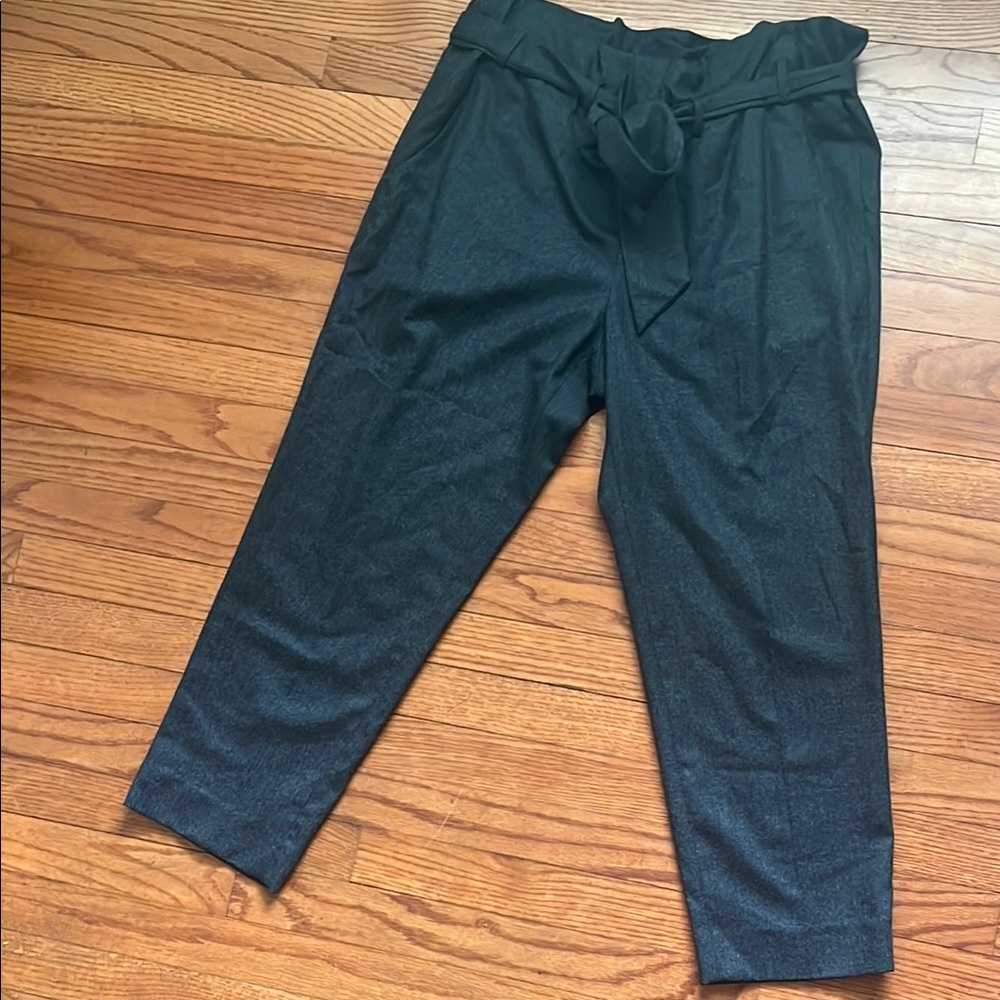 Jcrew 100% wool paper bag waist size 10